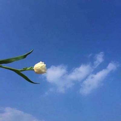 梦境童话守卫游戏下载